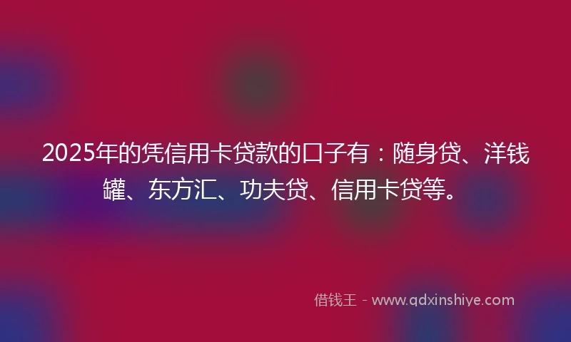 2025年的凭信用卡贷款的口子有：随身贷、洋钱罐、东方汇、功夫贷、信用卡贷等。