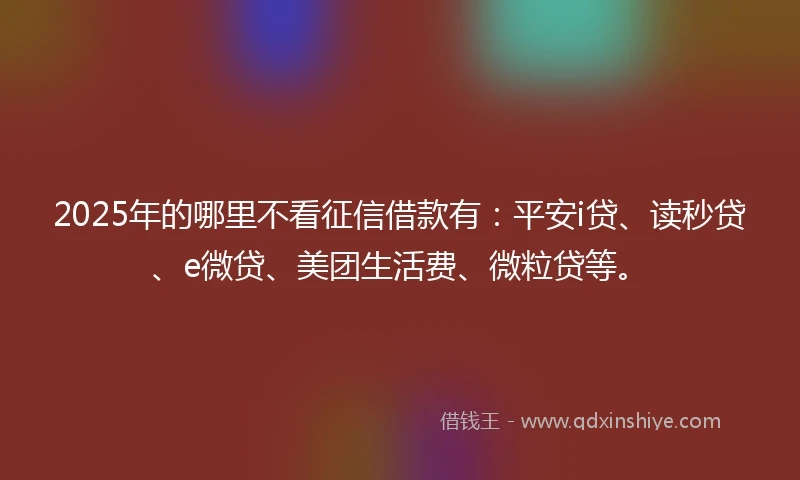 2025年的哪里不看征信借款有：平安i贷、读秒贷、e微贷、美团生活费、微粒贷等。