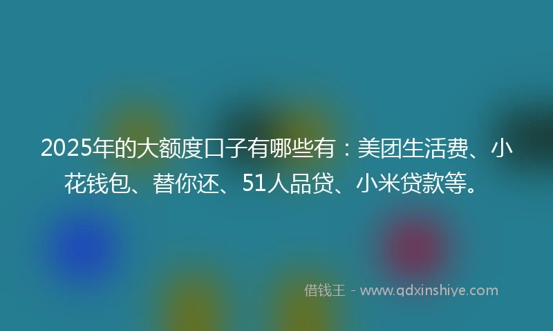2025年的大额度口子有哪些有：美团生活费、小花钱包、替你还、51人品贷、小米贷款等。