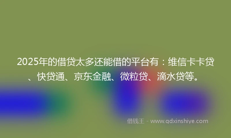 2025年的借贷太多还能借的平台有：维信卡卡贷、快贷通、京东金融、微粒贷、滴水贷等。