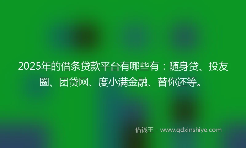 2025年的借条贷款平台有哪些有：随身贷、投友圈、团贷网、度小满金融、替你还等。