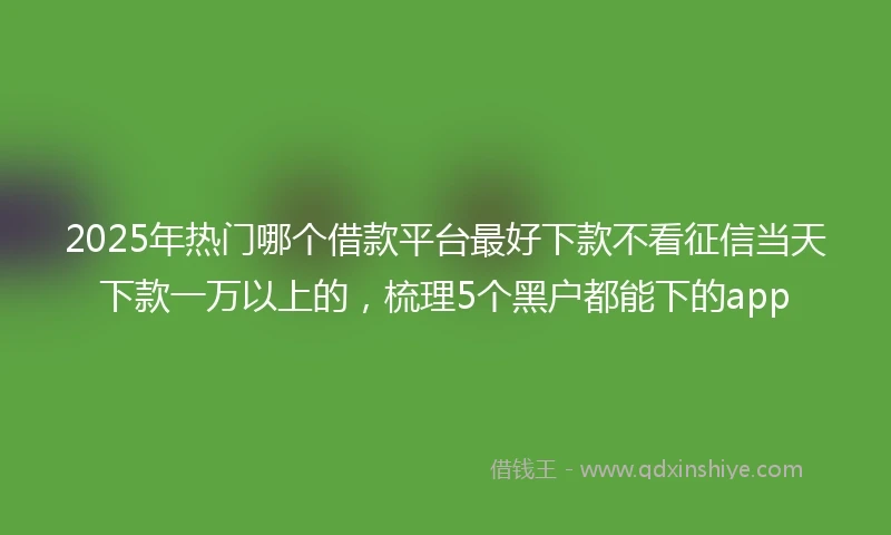 2025年热门哪个借款平台最好下款不看征信当天下款一万以上的，梳理5个黑户都能下的app