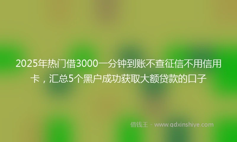 2025年热门借3000一分钟到账不查征信不用信用卡，汇总5个黑户成功获取大额贷款的口子