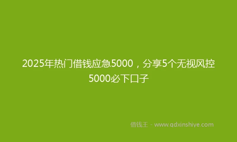 2025年热门借钱应急5000，分享5个无视风控5000必下口子