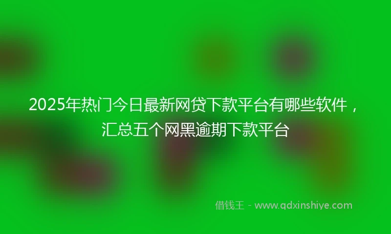 2025年热门今日最新网贷下款平台有哪些软件，汇总五个网黑逾期下款平台