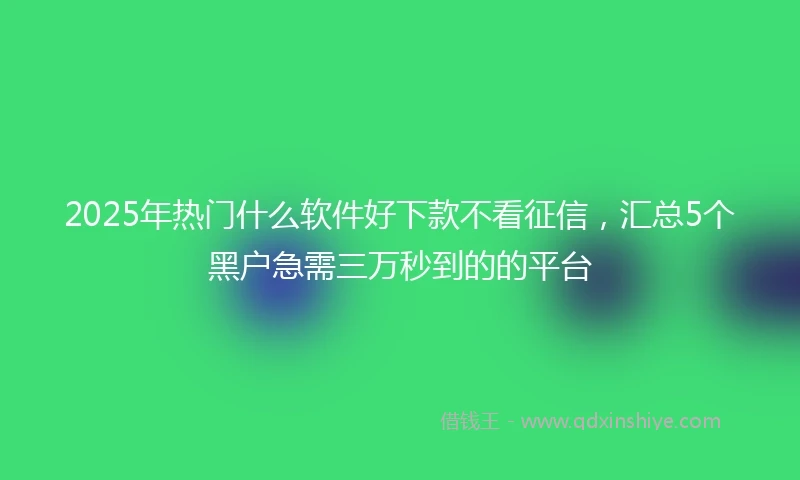 2025年热门什么软件好下款不看征信,汇总5个黑户急需三万秒到的的平台