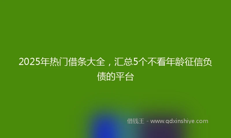 2025年热门借条大全，汇总5个不看年龄征信负债的平台