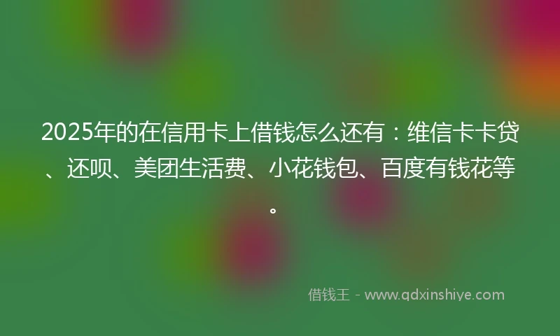 2025年的在信用卡上借钱怎么还有：维信卡卡贷、还呗、美团生活费、小花钱包、百度有钱花等。