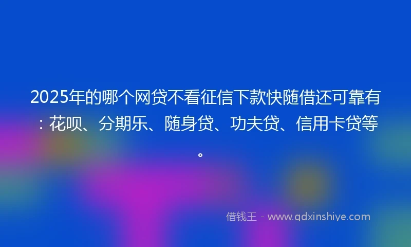 2025年的哪个网贷不看征信下款快随借还可靠有：花呗、分期乐、随身贷、功夫贷、信用卡贷等。