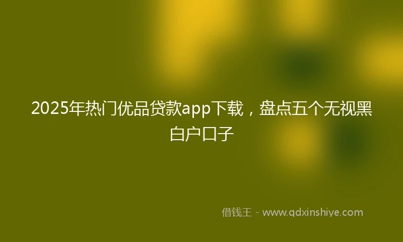 2025年热门优品贷款app下载，盘点五个无视黑白户口子