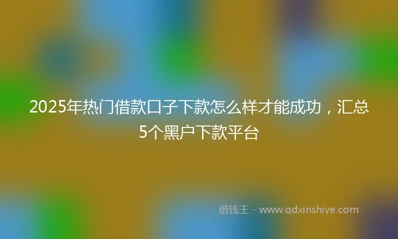 2025年热门借款口子下款怎么样才能成功，汇总5个黑户下款平台