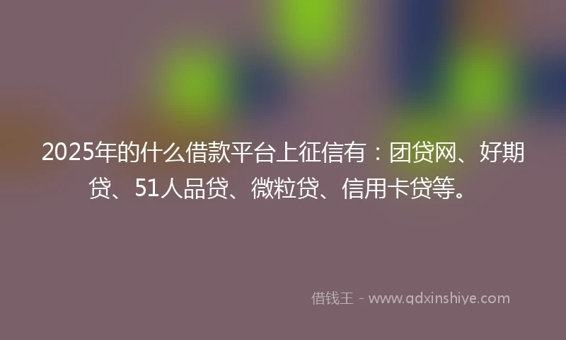 2025年的什么借款平台上征信有：团贷网、好期贷、51人品贷、微粒贷、信用卡贷等。
