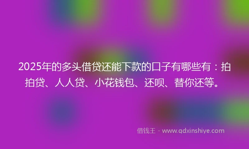 2025年的多头借贷还能下款的口子有哪些有：拍拍贷、人人贷、小花钱包、还呗、替你还等。