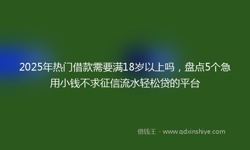 2025年热门借款需要满18岁以上吗，盘点5个急用小钱不求征信流水轻松贷的平台
