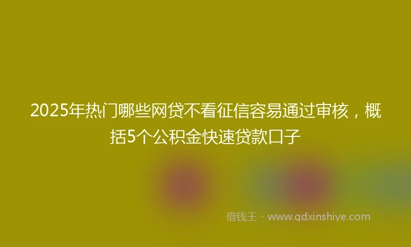 2025年热门哪些网贷不看征信容易通过审核，概括5个公积金快速贷款口子