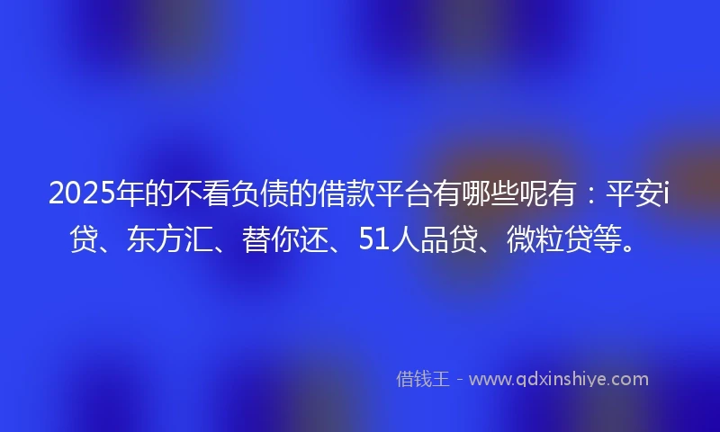 2025年的不看负债的借款平台有哪些呢有：平安i贷、东方汇、替你还、51人品贷、微粒贷等。