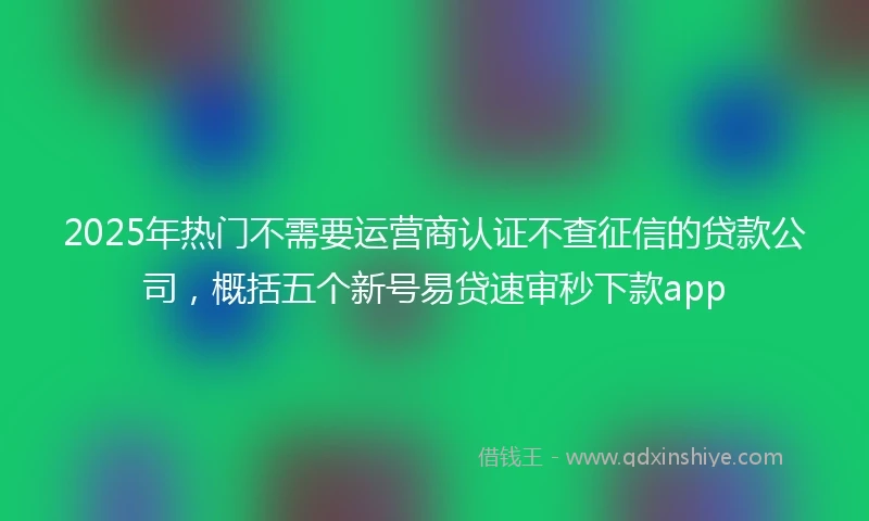 2025年热门不需要运营商认证不查征信的贷款公司，概括五个新号易贷速审秒下款app