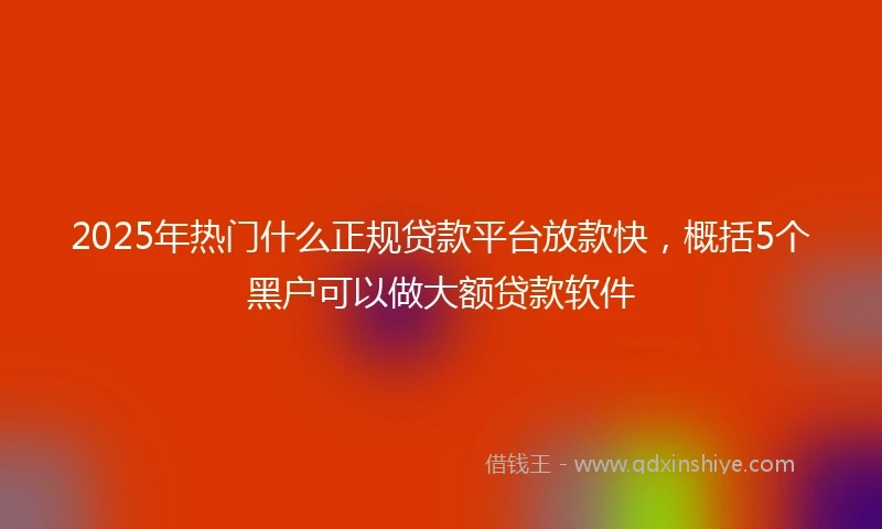 2025年热门什么正规贷款平台放款快，概括5个黑户可以做大额贷款软件