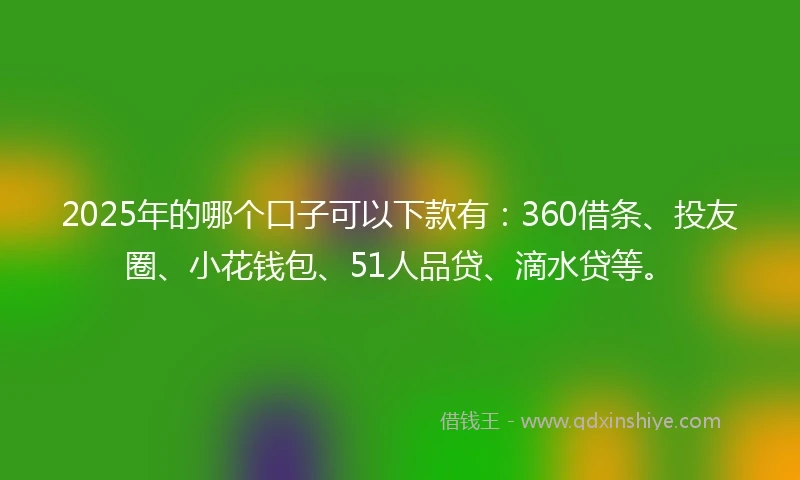 2025年的哪个口子可以下款有：360借条、投友圈、小花钱包、51人品贷、滴水贷等。