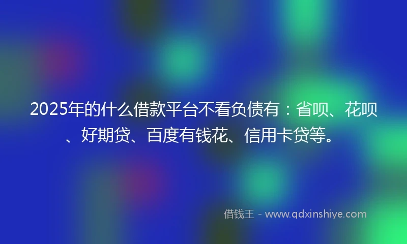 2025年的什么借款平台不看负债有：省呗、花呗、好期贷、百度有钱花、信用卡贷等。