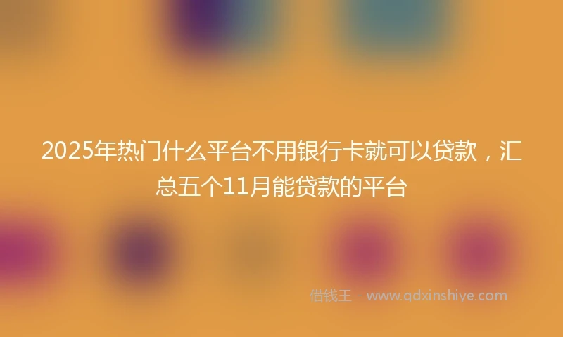 2025年热门什么平台不用银行卡就可以贷款，汇总五个11月能贷款的平台