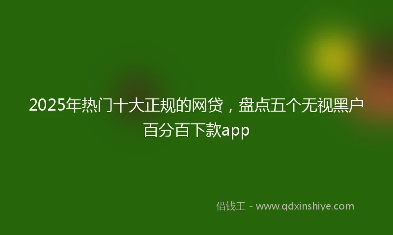 2025年热门十大正规的网贷，盘点五个无视黑户百分百下款app