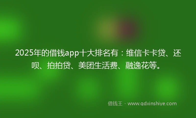 2025年的借钱app十大排名有：维信卡卡贷、还呗、拍拍贷、美团生活费、融逸花等。