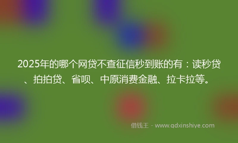 2025年的哪个网贷不查征信秒到账的有：读秒贷、拍拍贷、省呗、中原消费金融、拉卡拉等。