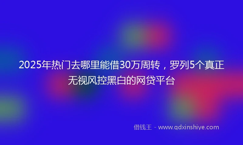 2025年热门去哪里能借30万周转，罗列5个真正无视风控黑白的网贷平台