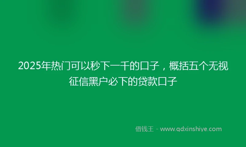 2025年热门可以秒下一千的口子，概括五个无视征信黑户必下的贷款口子