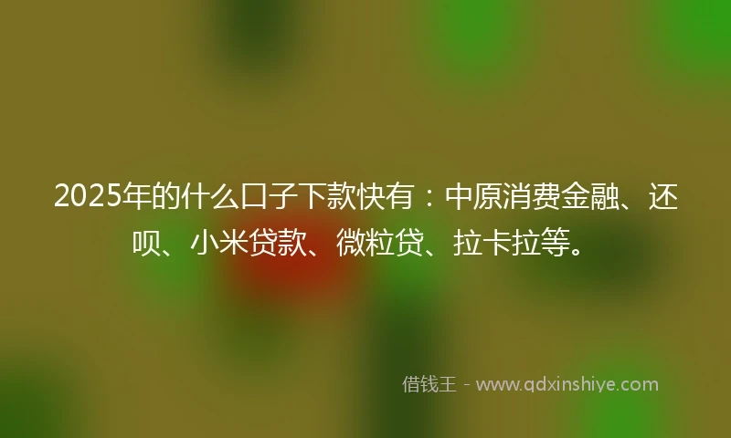 2025年的什么口子下款快有：中原消费金融、还呗、小米贷款、微粒贷、拉卡拉等。