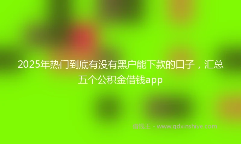 2025年热门到底有没有黑户能下款的口子，汇总五个公积金借钱app