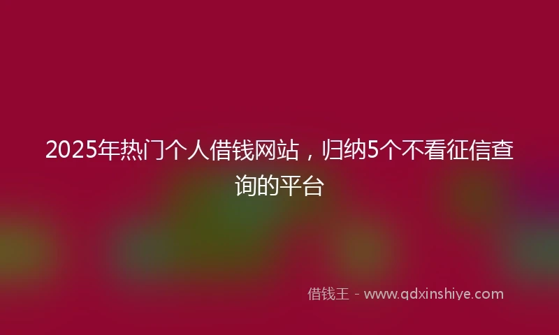 2025年热门个人借钱网站,归纳5个不看征信查询的平台