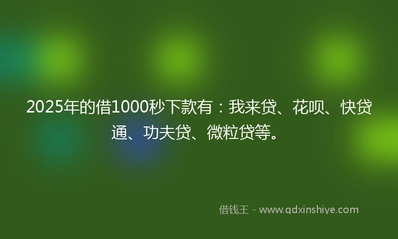 2025年的借1000秒下款有：我来贷、花呗、快贷通、功夫贷、微粒贷等。
