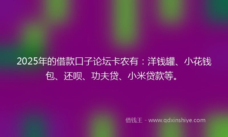 2025年的借款口子论坛卡农有：洋钱罐、小花钱包、还呗、功夫贷、小米贷款等。
