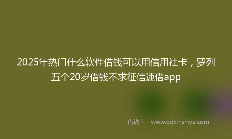 2025年热门什么软件借钱可以用信用社卡,罗列五个20岁借钱不求征信速借app