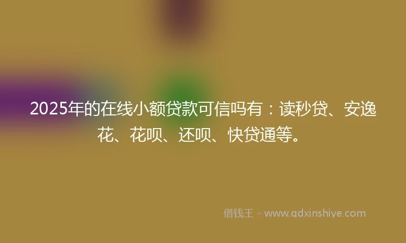 2025年的在线小额贷款可信吗有：读秒贷、安逸花、花呗、还呗、快贷通等。