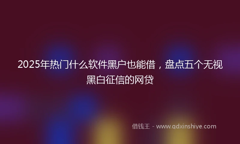 2025年热门什么软件黑户也能借，盘点五个无视黑白征信的网贷
