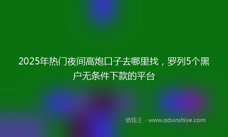 2025年热门夜间高炮口子去哪里找，罗列5个黑户无条件下款的平台