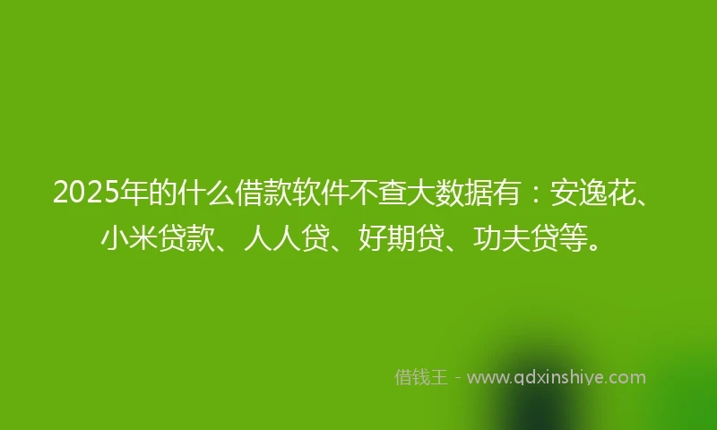 2025年的什么借款软件不查大数据有：安逸花、小米贷款、人人贷、好期贷、功夫贷等。