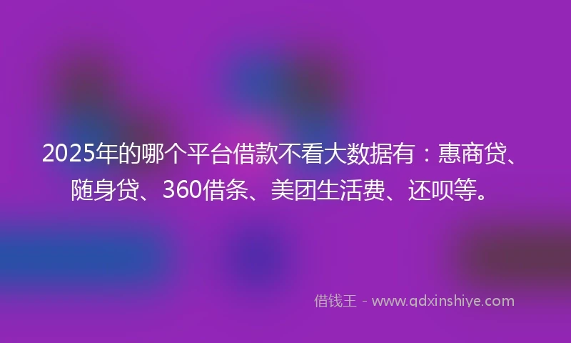 2025年的哪个平台借款不看大数据有：惠商贷、随身贷、360借条、美团生活费、还呗等。