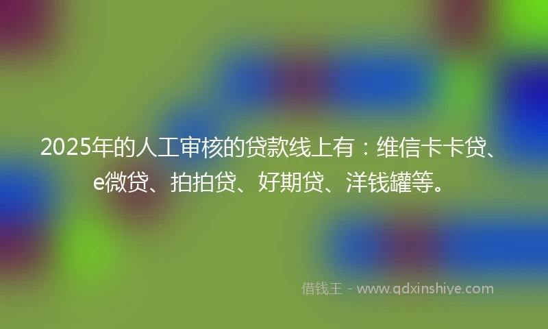2025年的人工审核的贷款线上有：维信卡卡贷、e微贷、拍拍贷、好期贷、洋钱罐等。