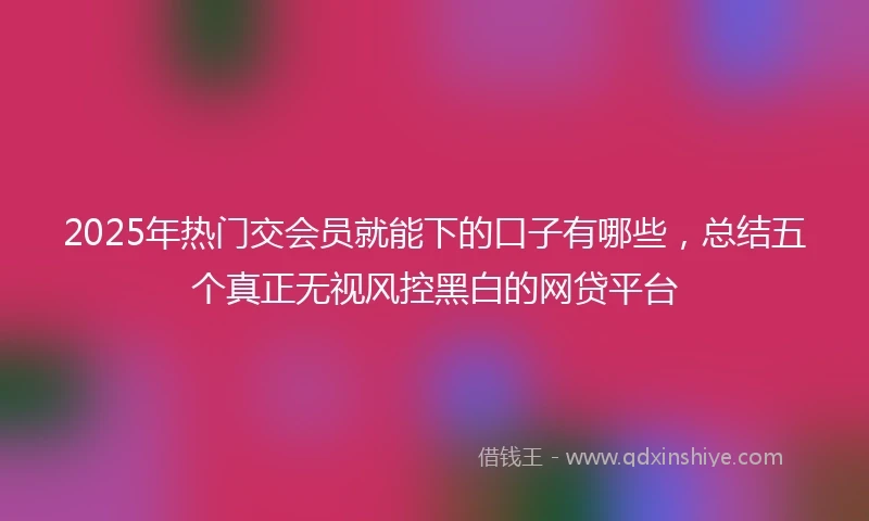 2025年热门交会员就能下的口子有哪些，总结五个真正无视风控黑白的网贷平台