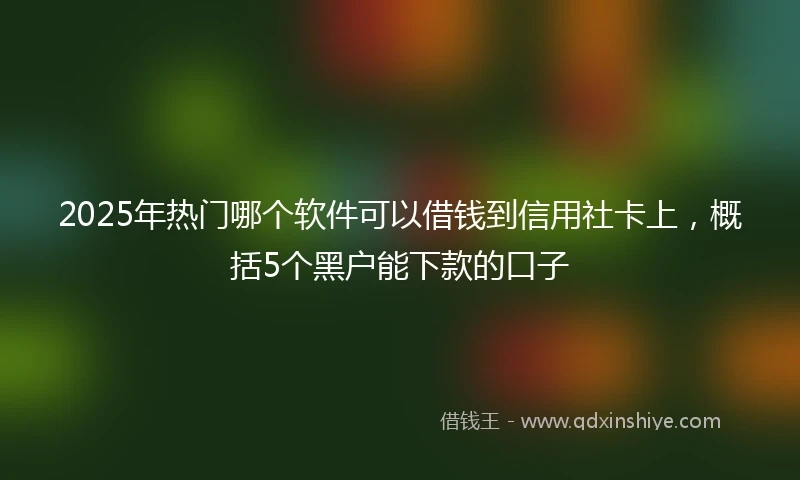 2025年热门哪个软件可以借钱到信用社卡上，概括5个黑户能下款的口子