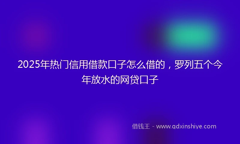 2025年热门信用借款口子怎么借的，罗列五个今年放水的网贷口子