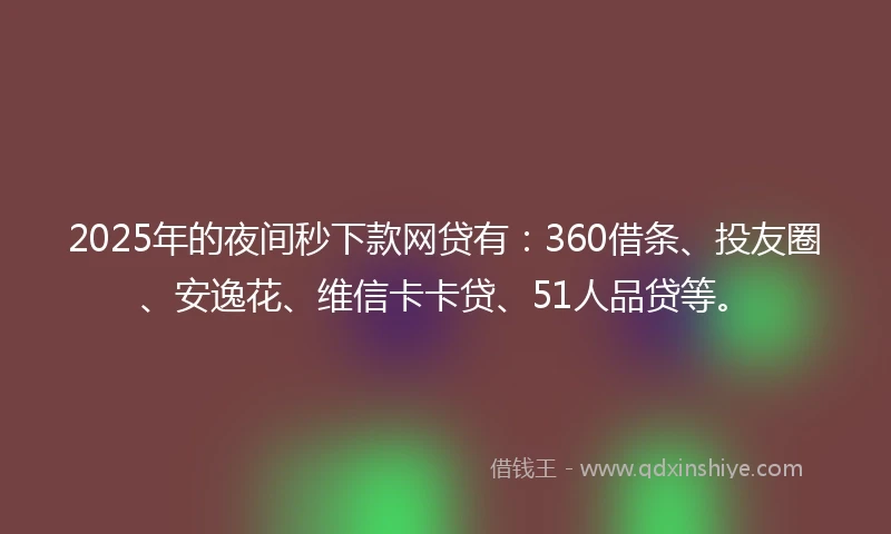 2025年的夜间秒下款网贷有：360借条、投友圈、安逸花、维信卡卡贷、51人品贷等。
