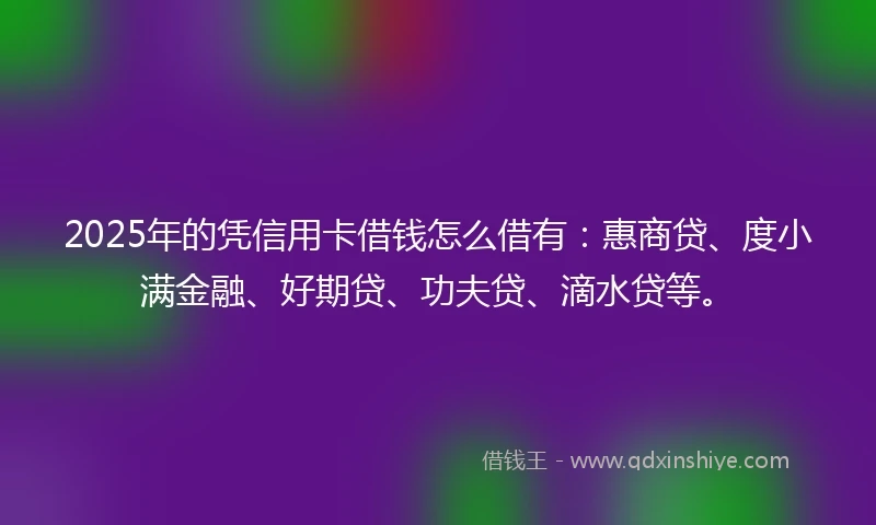 2025年的凭信用卡借钱怎么借有：惠商贷、度小满金融、好期贷、功夫贷、滴水贷等。