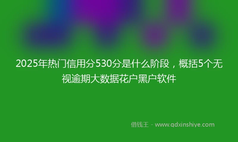 2025年热门信用分530分是什么阶段，概括5个无视逾期大数据花户黑户软件