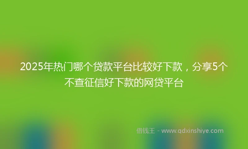 2025年热门哪个贷款平台比较好下款，分享5个不查征信好下款的网贷平台