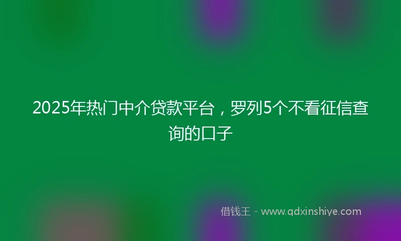 2025年热门中介贷款平台，罗列5个不看征信查询的口子